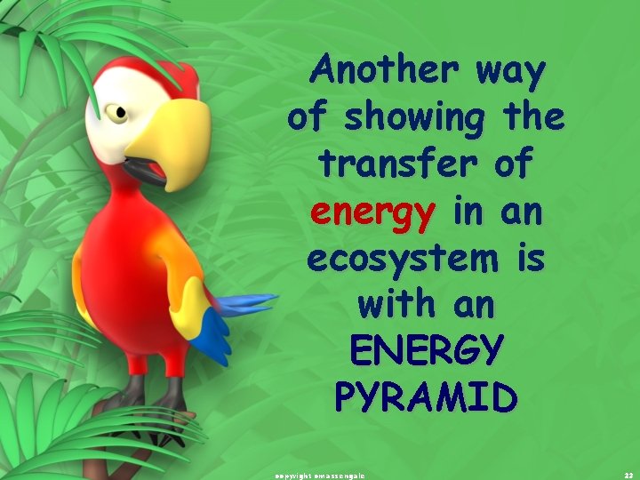 Another way of showing the transfer of energy in an ecosystem is with an