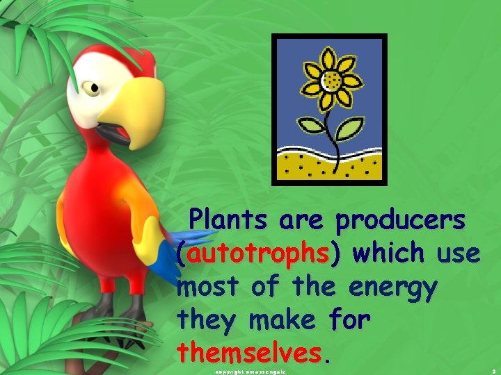 Plants are producers (autotrophs) which use most of the energy they make for themselves.