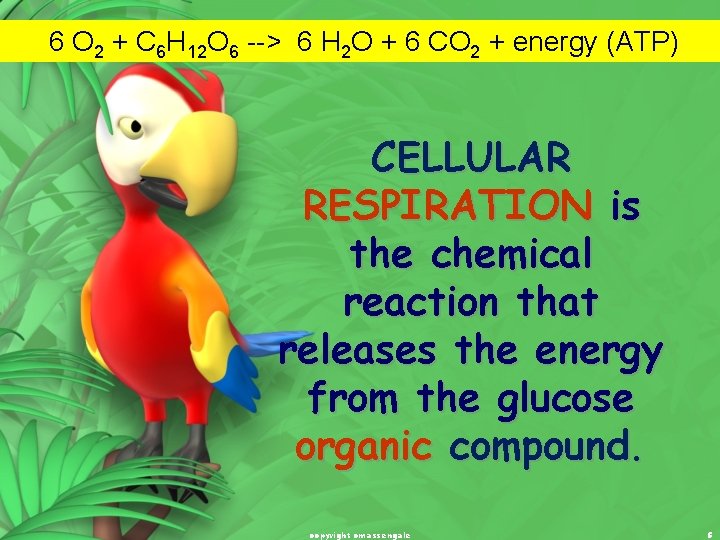 6 O 2 + C 6 H 12 O 6 --> 6 H 2