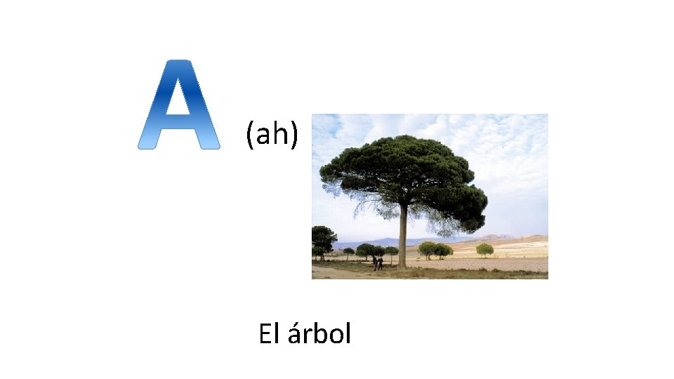 (ah) El árbol 
