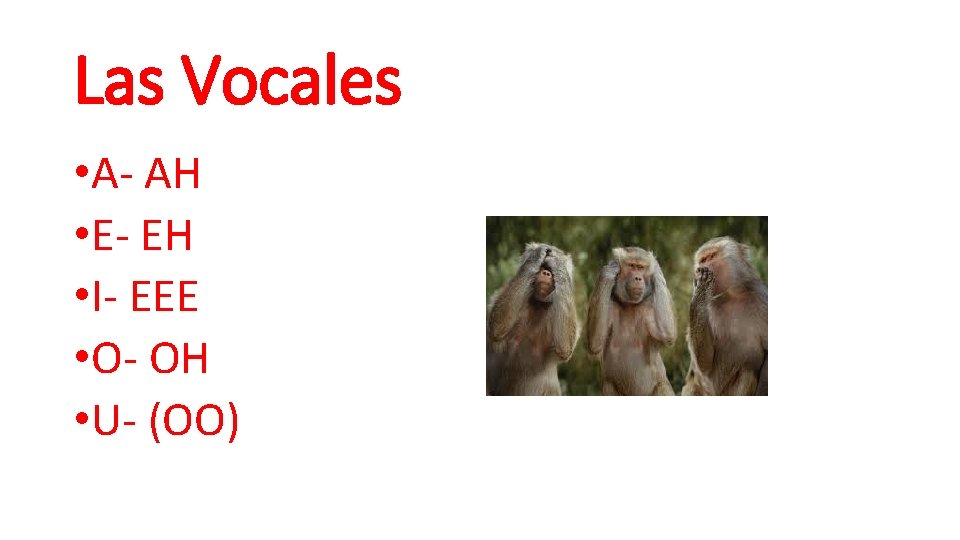 Las Vocales • A- AH • E- EH • I- EEE • O- OH