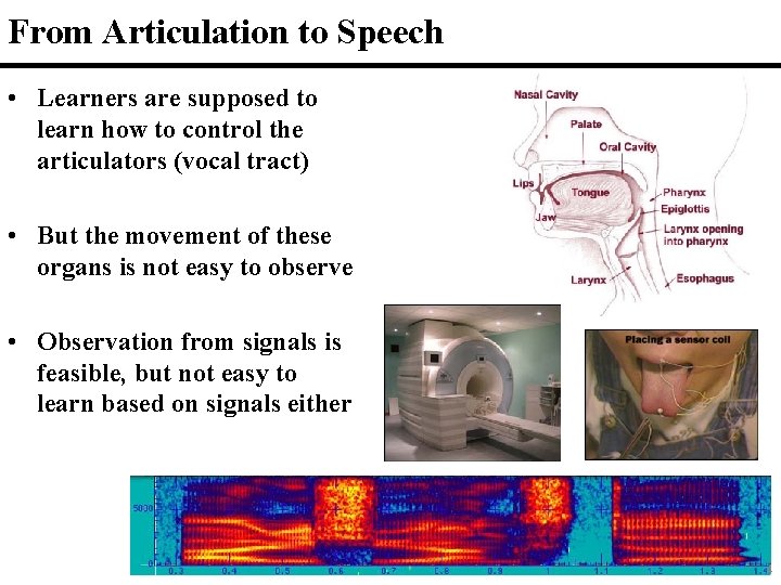 From Articulation to Speech • Learners are supposed to learn how to control the