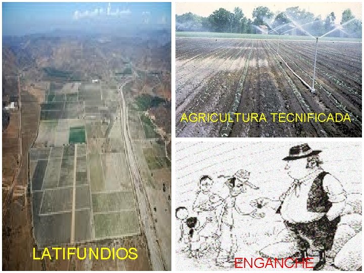AGRICULTURA TECNIFICADA LATIFUNDIOS ENGANCHE 