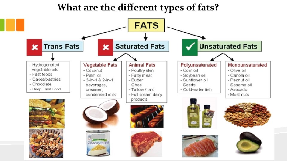 What are the different types of fats? 