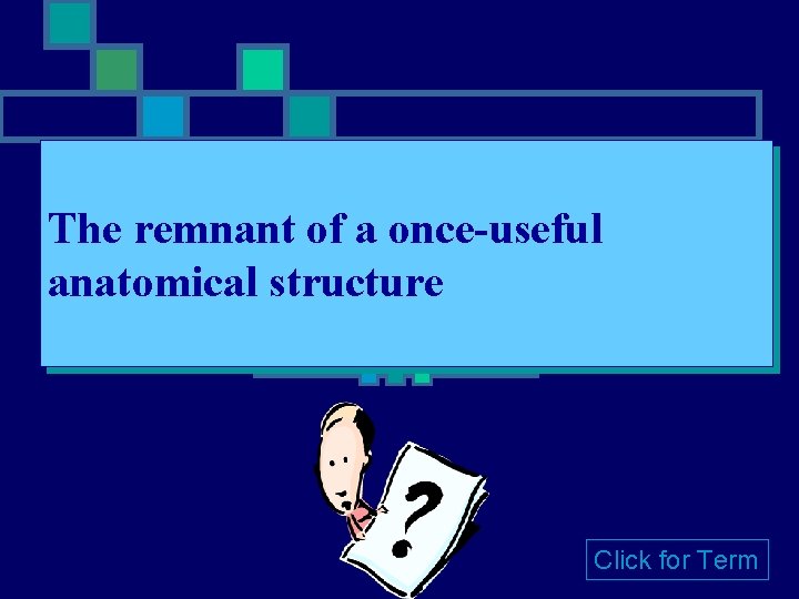 The remnant of a once-useful anatomical structure Click for Term 
