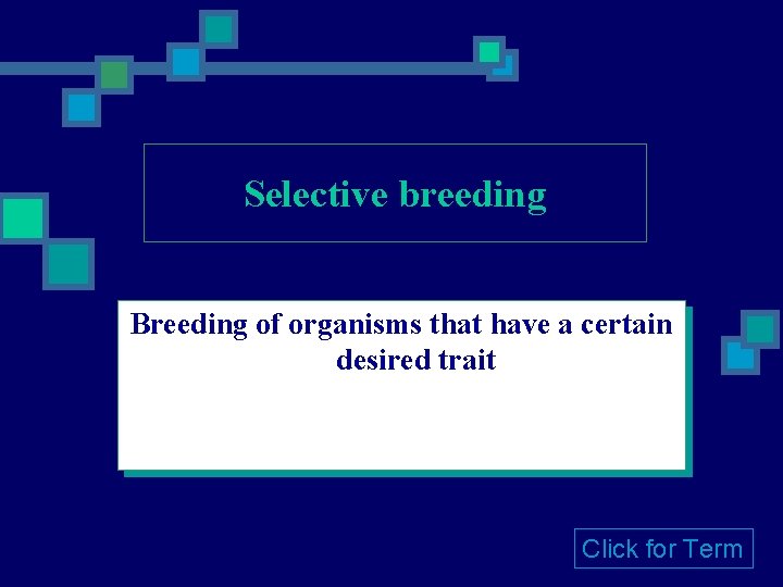 Selective breeding Breeding of organisms that have a certain desired trait Click for Term