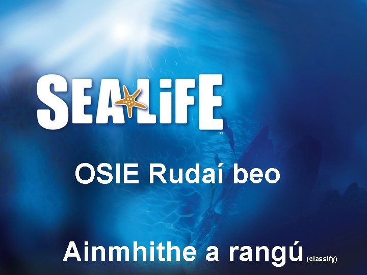 OSIE Rudaí beo Ainmhithe a rangú (classify) 