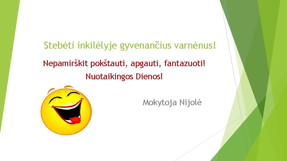 Stebėti inkilėlyje gyvenančius varnėnus! Nepamirškit pokštauti, apgauti, fantazuoti! Nuotaikingos Dienos! Mokytoja Nijolė 