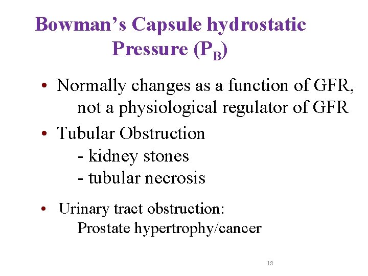 Bowman’s Capsule hydrostatic Pressure (PB) • Normally changes as a function of GFR, not