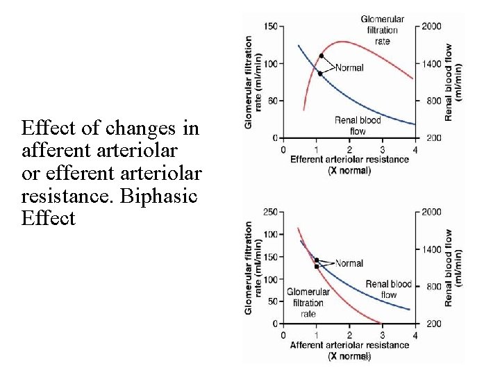 Effect of changes in afferent arteriolar or efferent arteriolar resistance. Biphasic Effect 28 