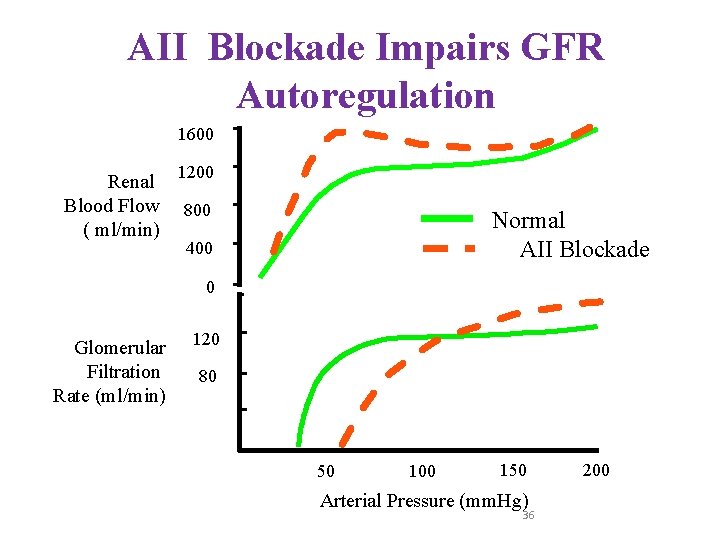 AII Blockade Impairs GFR Autoregulation 1600 Renal Blood Flow ( ml/min) 1200 800 Normal