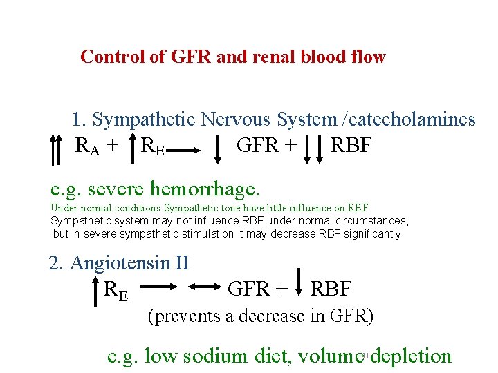Control of GFR and renal blood flow 1. Sympathetic Nervous System /catecholamines RA +