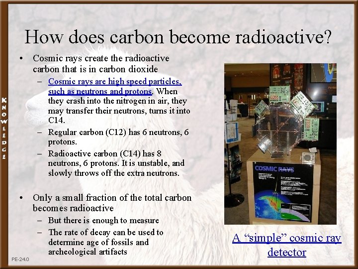 How does carbon become radioactive? • Cosmic rays create the radioactive carbon that is