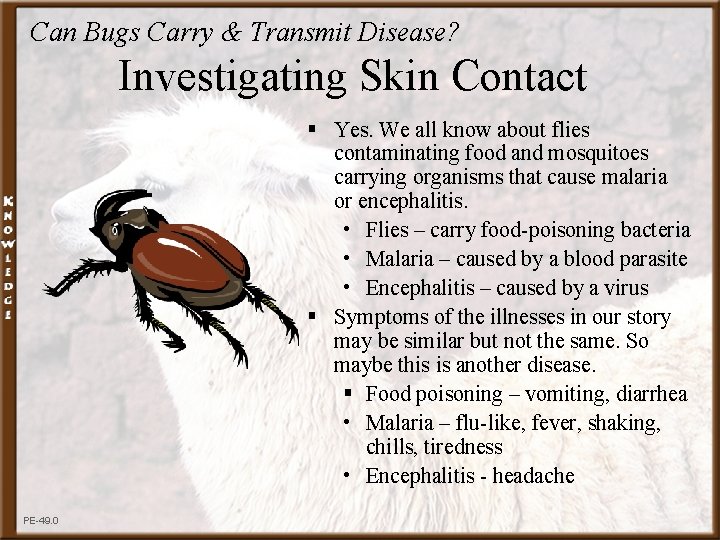 Can Bugs Carry & Transmit Disease? Investigating Skin Contact § Yes. We all know