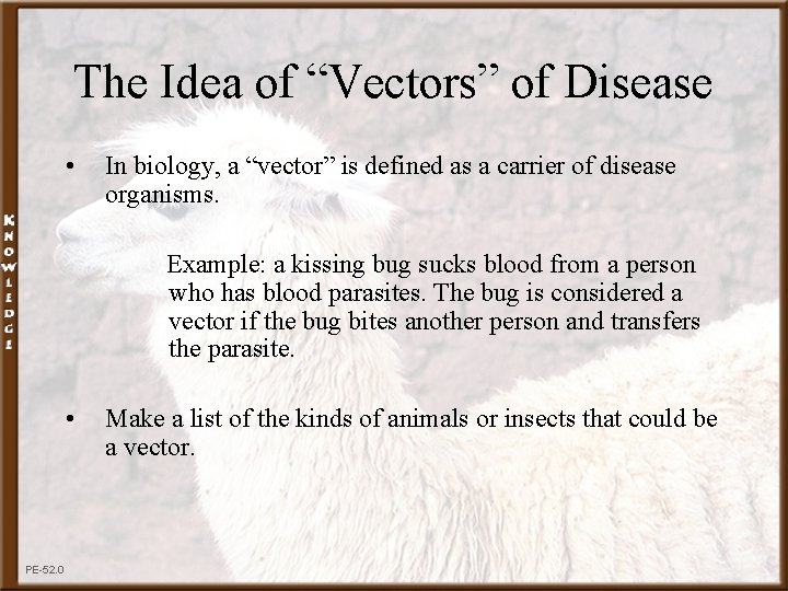 The Idea of “Vectors” of Disease • In biology, a “vector” is defined as