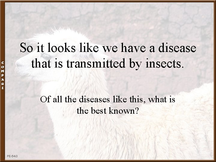 So it looks like we have a disease that is transmitted by insects. Of