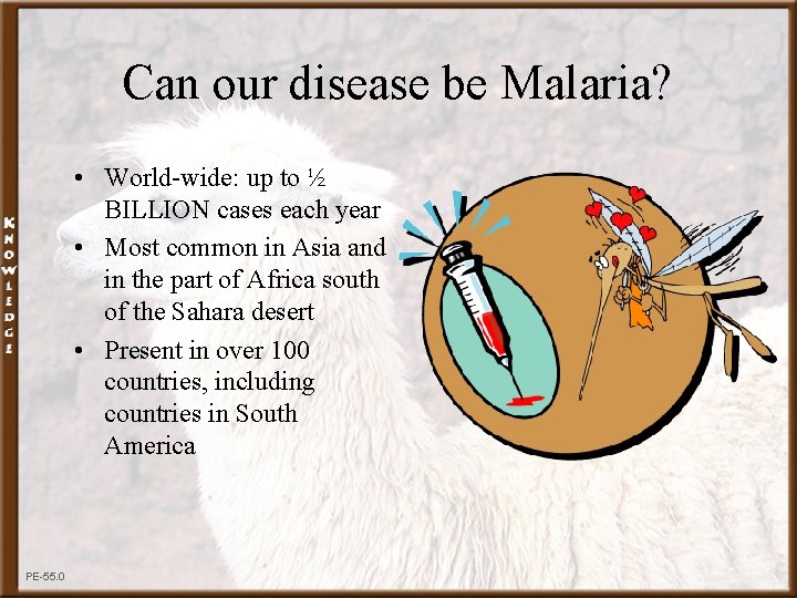 Can our disease be Malaria? • World-wide: up to ½ BILLION cases each year