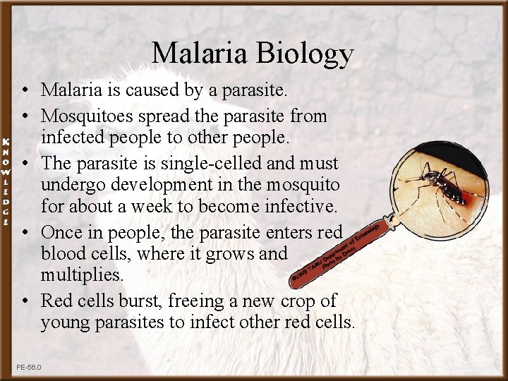 Malaria Biology • Malaria is caused by a parasite. • Mosquitoes spread the parasite