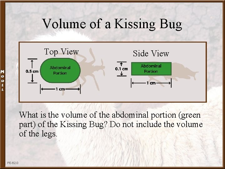Volume of a Kissing Bug Top View Side View What is the volume of