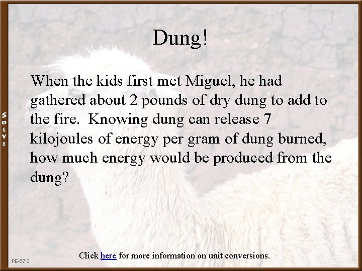 Dung! When the kids first met Miguel, he had gathered about 2 pounds of Dung! When the kids first met Miguel, he had gathered about 2 pounds of
