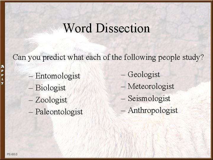 Word Dissection Can you predict what each of the following people study? – Entomologist