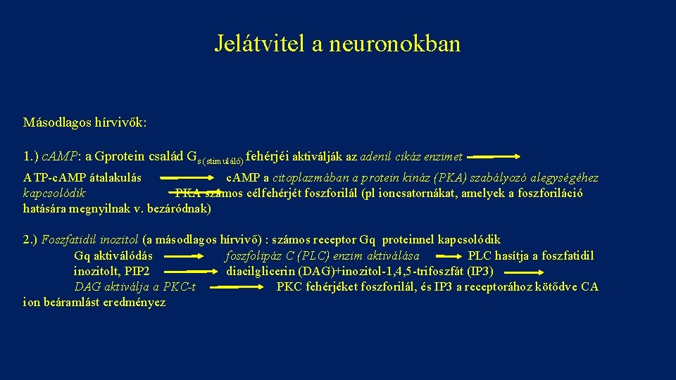 Jelátvitel a neuronokban Másodlagos hírvivők: 1. ) c. AMP: a Gprotein család Gs (stimuláló)