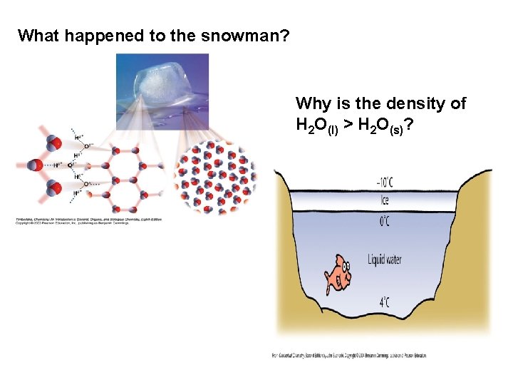 What happened to the snowman? Why is the density of H 2 O(l) >