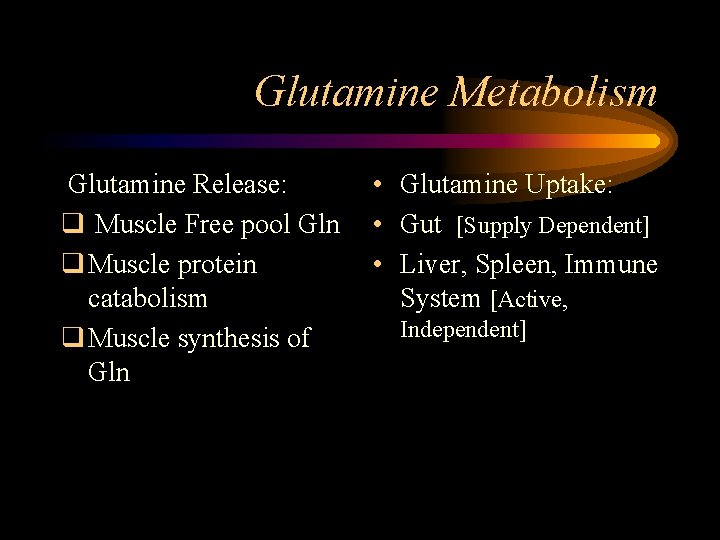 Glutamine Metabolism Glutamine Release: q Muscle Free pool Gln q Muscle protein catabolism q