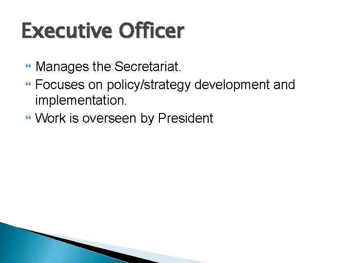 Executive Officer Manages the Secretariat. Focuses on policy/strategy development and implementation. Work is overseen