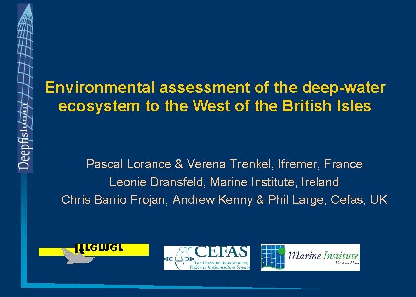 Environmental assessment of the deepwater ecosystem to the