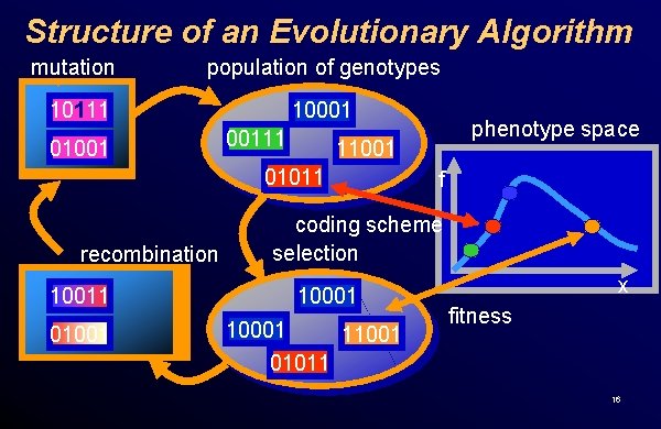 Structure of an Evolutionary Algorithm mutation population of genotypes 10111 10001 01001 recombination 00111