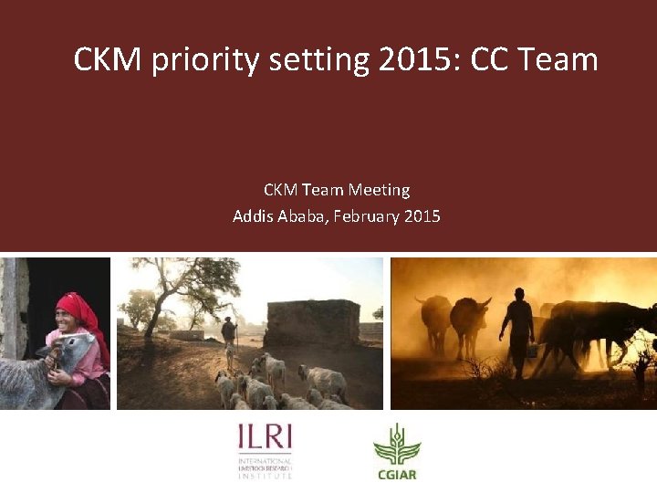 CKM priority setting 2015: CC Team CKM Team Meeting Addis Ababa, February 2015 