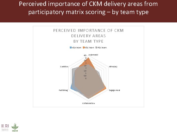 Perceived importance of CKM delivery areas from participatory matrix scoring – by team type