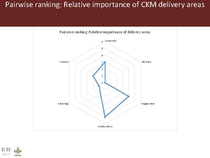 Pairwise ranking: Relative importance of CKM delivery areas Pairwise ranking: Relative importance of delivery