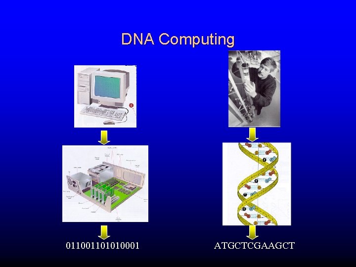 DNA Computing 01101010001 ATGCTCGAAGCT 