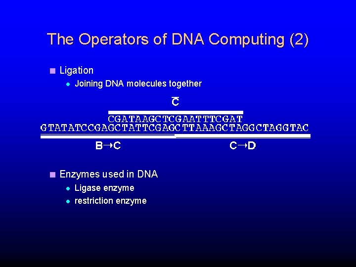 The Operators of DNA Computing (2) < Ligation l Joining DNA molecules together <