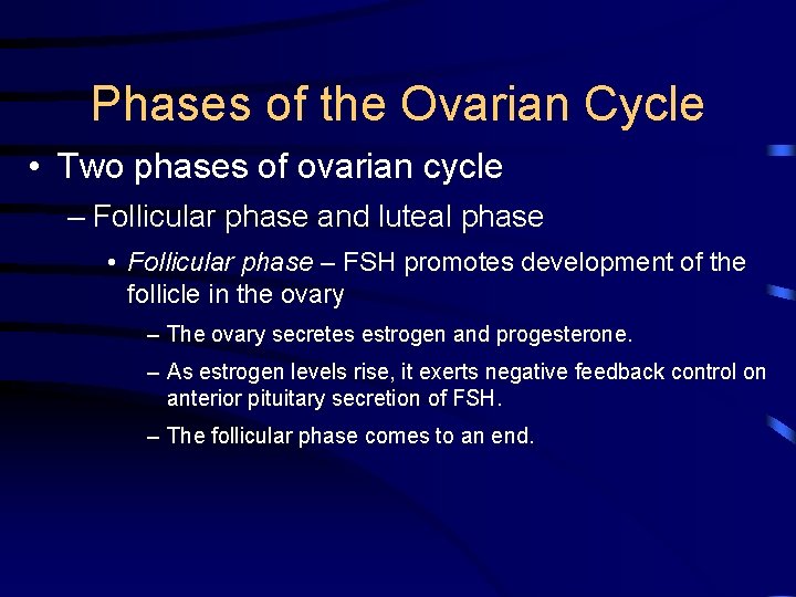 Phases of the Ovarian Cycle • Two phases of ovarian cycle – Follicular phase