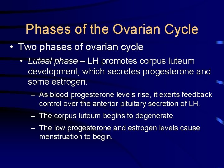 Phases of the Ovarian Cycle • Two phases of ovarian cycle • Luteal phase