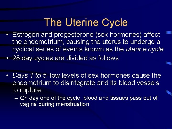 The Uterine Cycle • Estrogen and progesterone (sex hormones) affect the endometrium, causing the