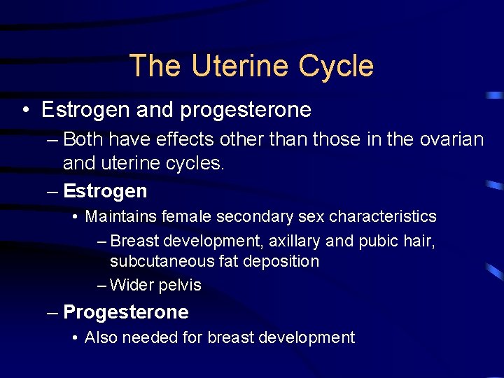 The Uterine Cycle • Estrogen and progesterone – Both have effects other than those