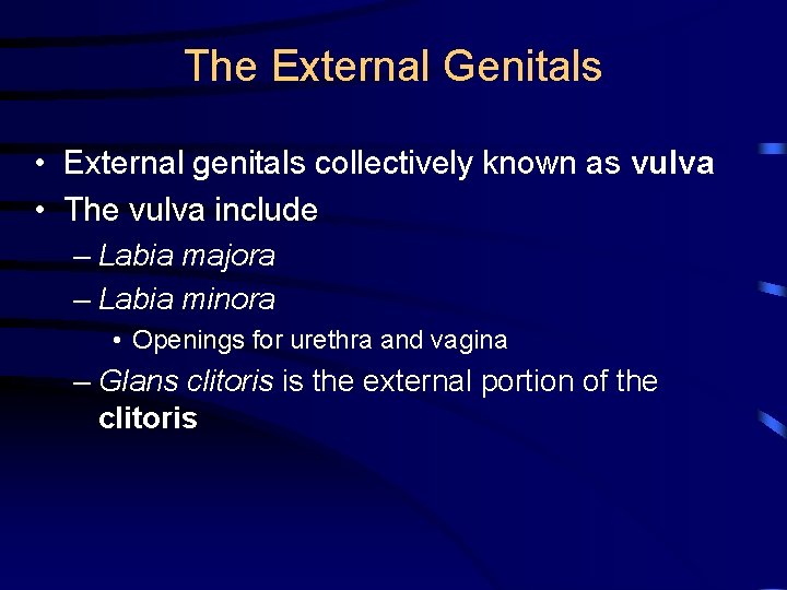The External Genitals • External genitals collectively known as vulva • The vulva include