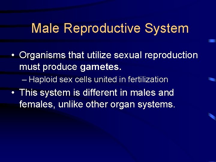 Male Reproductive System • Organisms that utilize sexual reproduction must produce gametes. – Haploid
