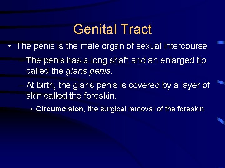 Genital Tract • The penis is the male organ of sexual intercourse. – The
