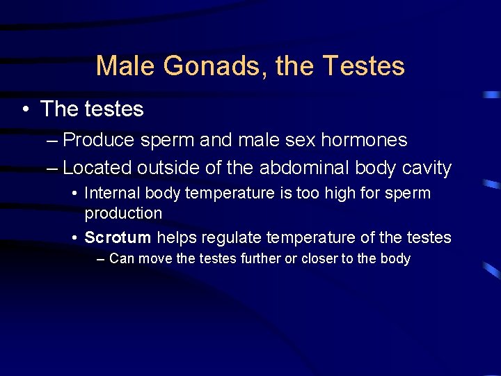 Male Gonads, the Testes • The testes – Produce sperm and male sex hormones
