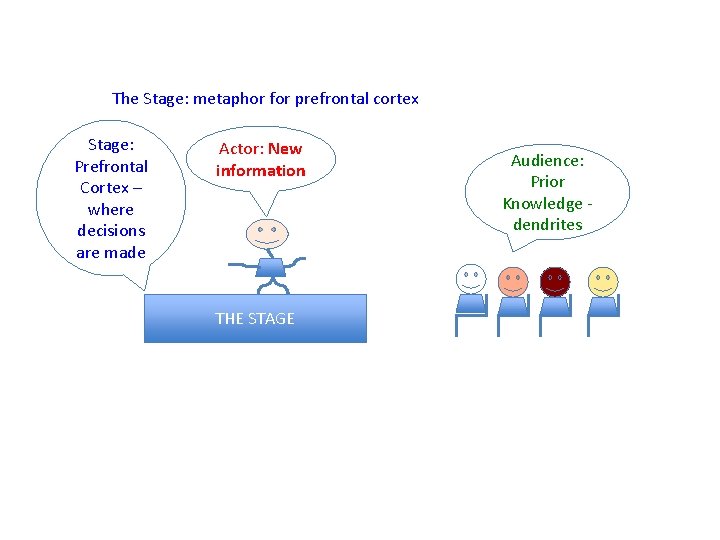 The Stage: metaphor for prefrontal cortex Stage: Prefrontal Cortex – where decisions are made
