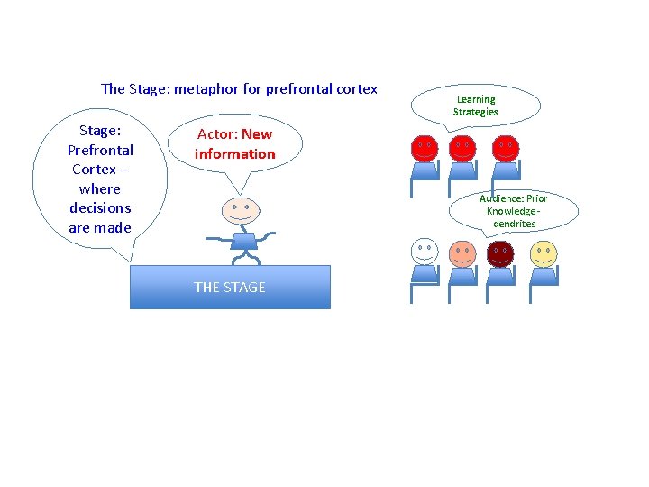 The Stage: metaphor for prefrontal cortex Stage: Prefrontal Cortex – where decisions are made