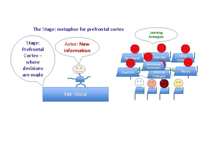 The Stage: metaphor for prefrontal cortex Stage: Prefrontal Cortex – where decisions are made