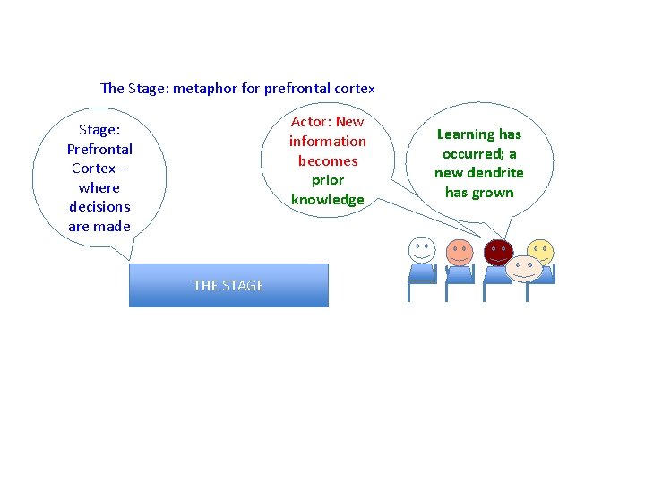 The Stage: metaphor for prefrontal cortex Actor: New information becomes prior knowledge Stage: Prefrontal