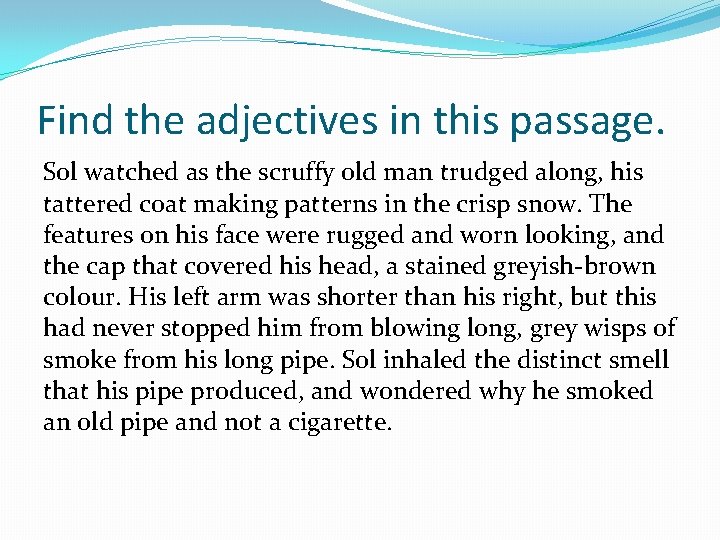 Find the adjectives in this passage. Sol watched as the scruffy old man trudged
