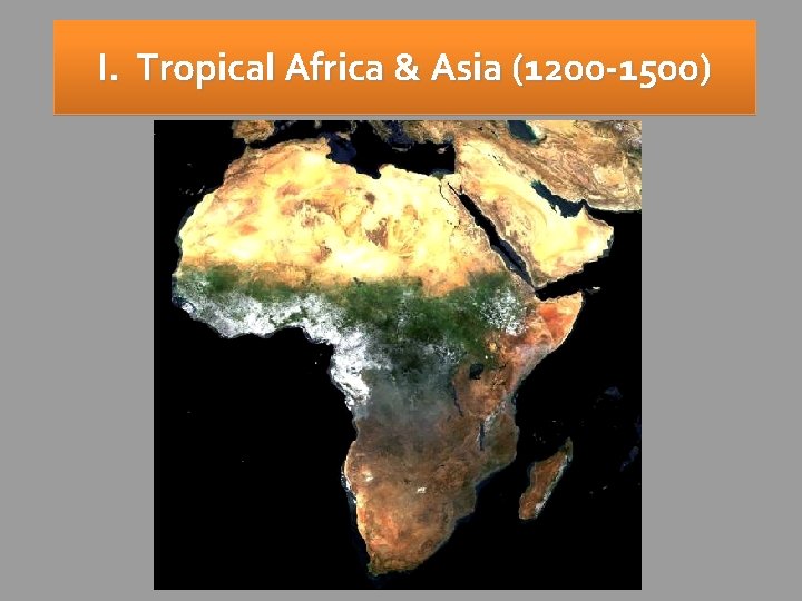 I. Tropical Africa & Asia (1200 -1500) 